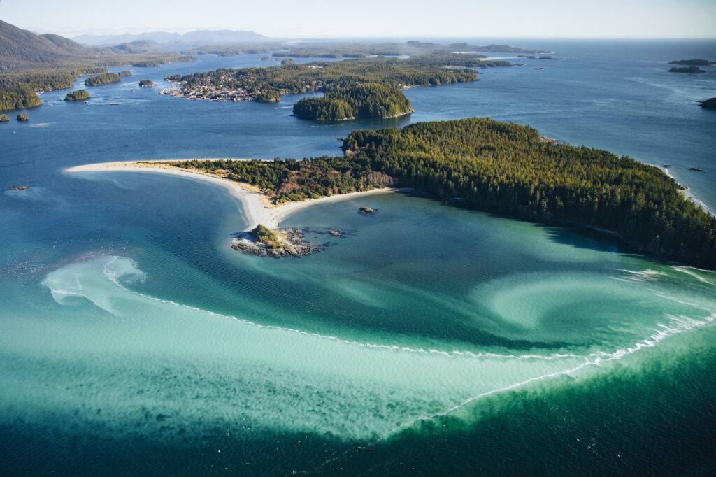 fish farms kill herring