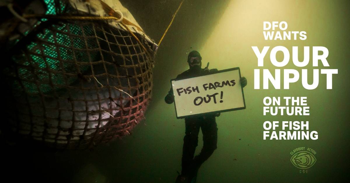 DFO wants your input Clayoquot Action