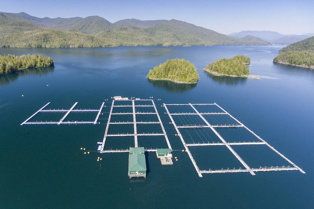Cermaq Canada Expansion Clayoquot Sound